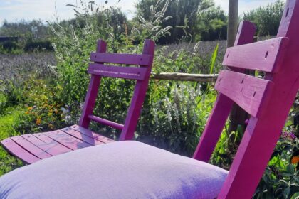 Santa Luce - tra lavanda e tradizioni