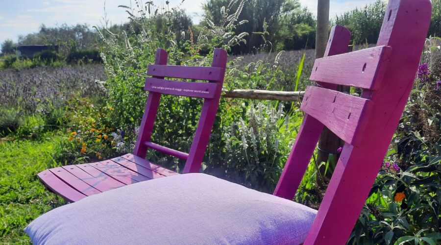 Santa Luce - tra lavanda e tradizioni