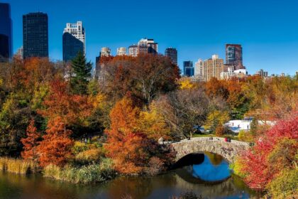 Assicurazioni di viaggio New York