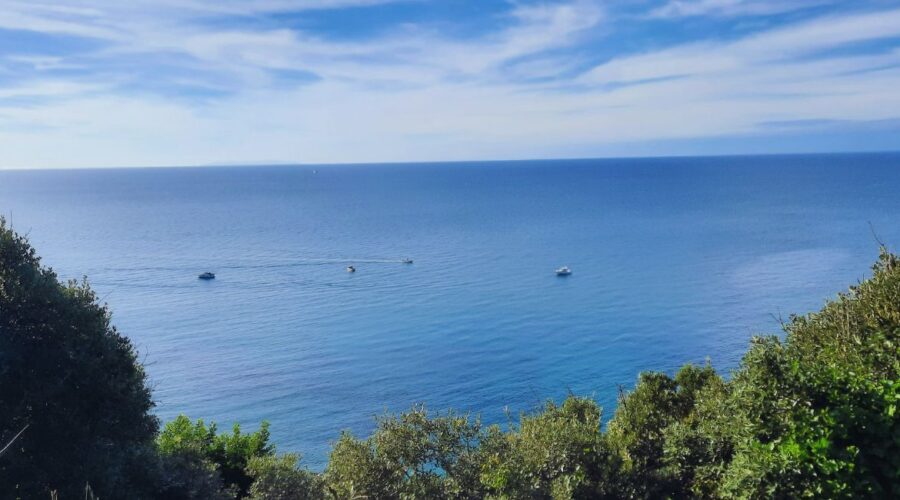 Piombino: trekking gratuito a Punta Falcone e pranzo con vista mare Piombino: trekking gratuito a Punta Falcone