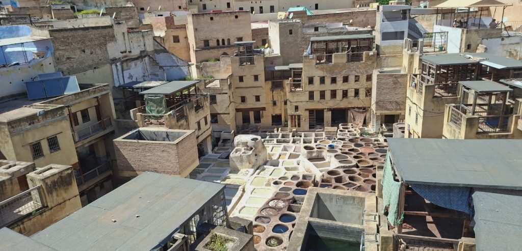 vasche delle concerie di Fès Marocco