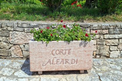 Corte Aleardi: la storia di una famiglia che da sette generazioni custodisce un angolo autentico di Valpolicella Corte Aleardi la storia di una famiglia di viticoltori in Valpolicella