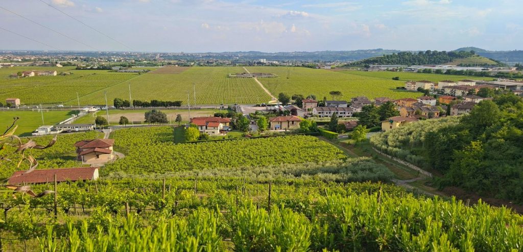 colline di Gargagnago, frazione di Sant'Ambrogio di Valpolicella